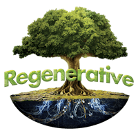 Shop by Regenerative