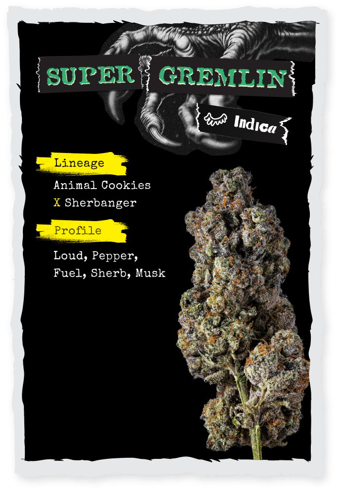 Strane | Bulk Bud - Super Gremlin