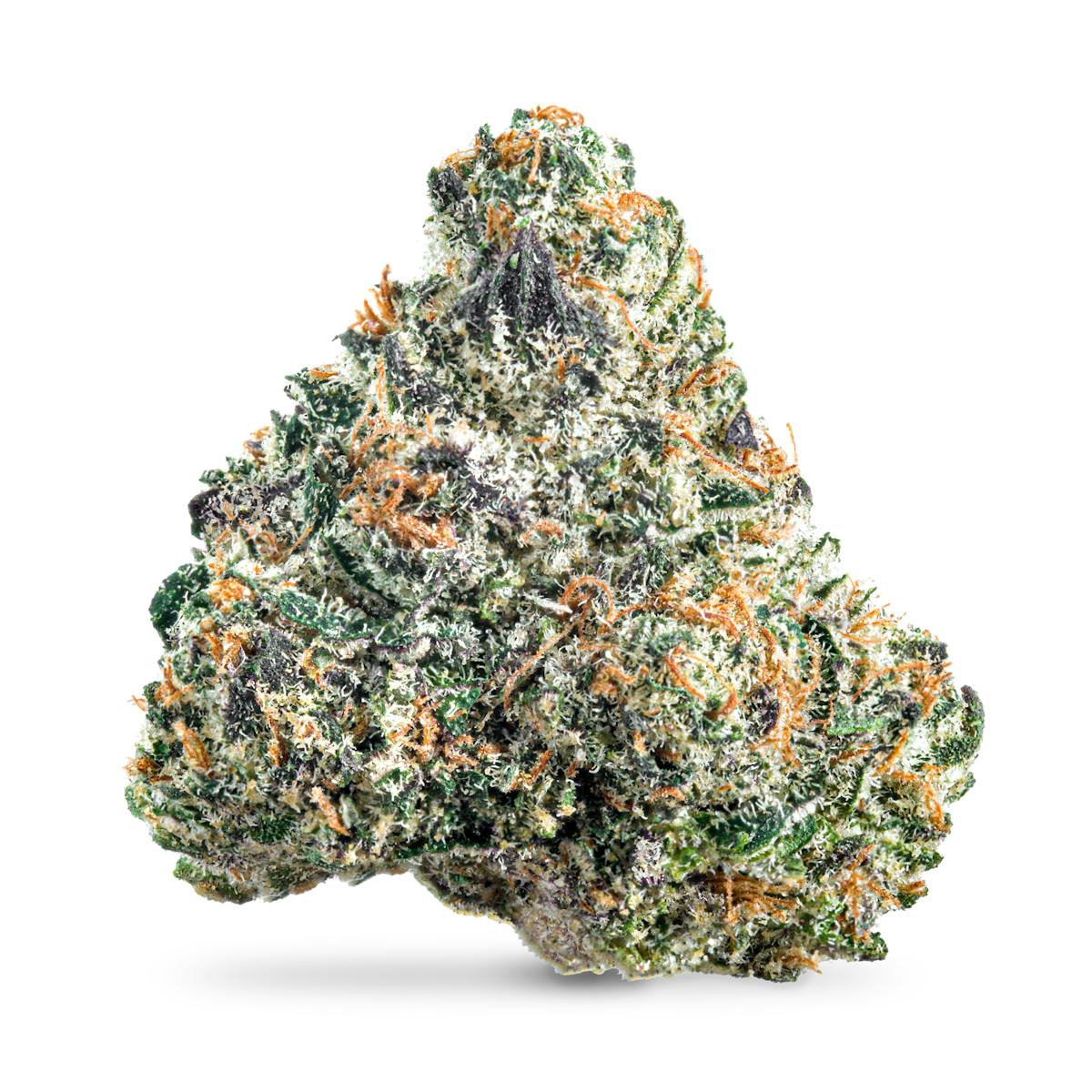 permanent-marker-dark-matter-permanent-marker-near-me-permanent