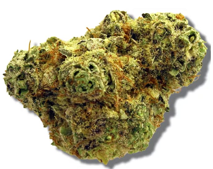 Product Berkshire Roots | Strawberry Lemonade | Flower