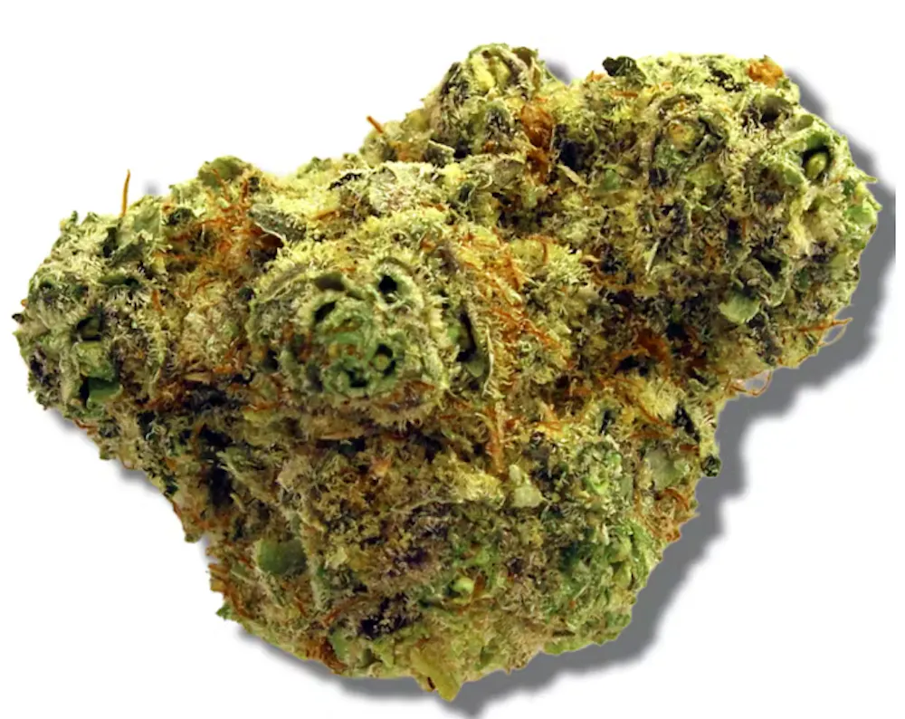 Product Berkshire Roots | Strawberry Lemonade | Flower