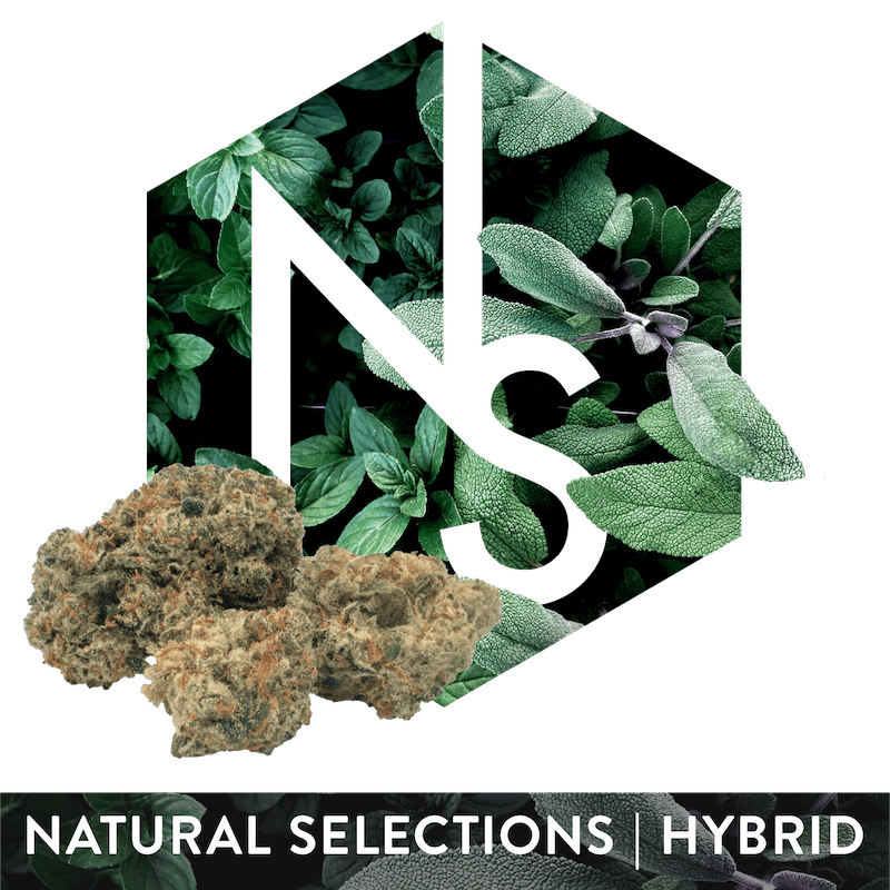 Product Natural Selections - Alaskan Unicorn Flower (3.5g)