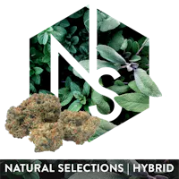 Product Natural Selections - Alaskan Unicorn Flower (3.5g)