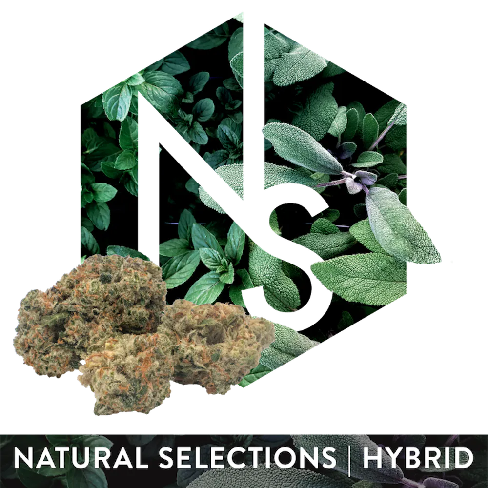 Product Natural Selections - Alaskan Unicorn Flower (3.5g)