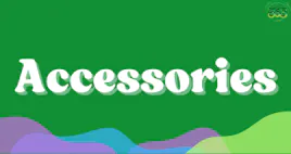 Accessories category image