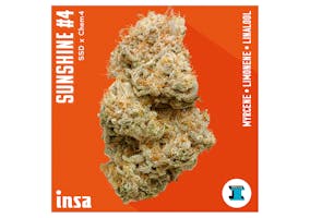 Super Lemon Haze 2 - INSA Florida Dispensary Super Lemon Haze 2 - INSA Florida Dispensary