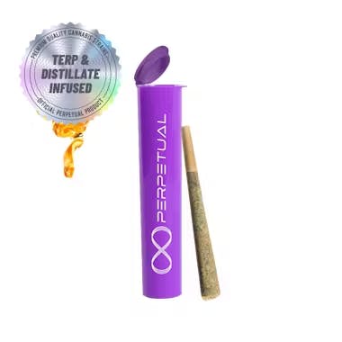 Photo of Perpetual | Gary P x Cactus Quencher | Distillate Infused Preroll | 1g
