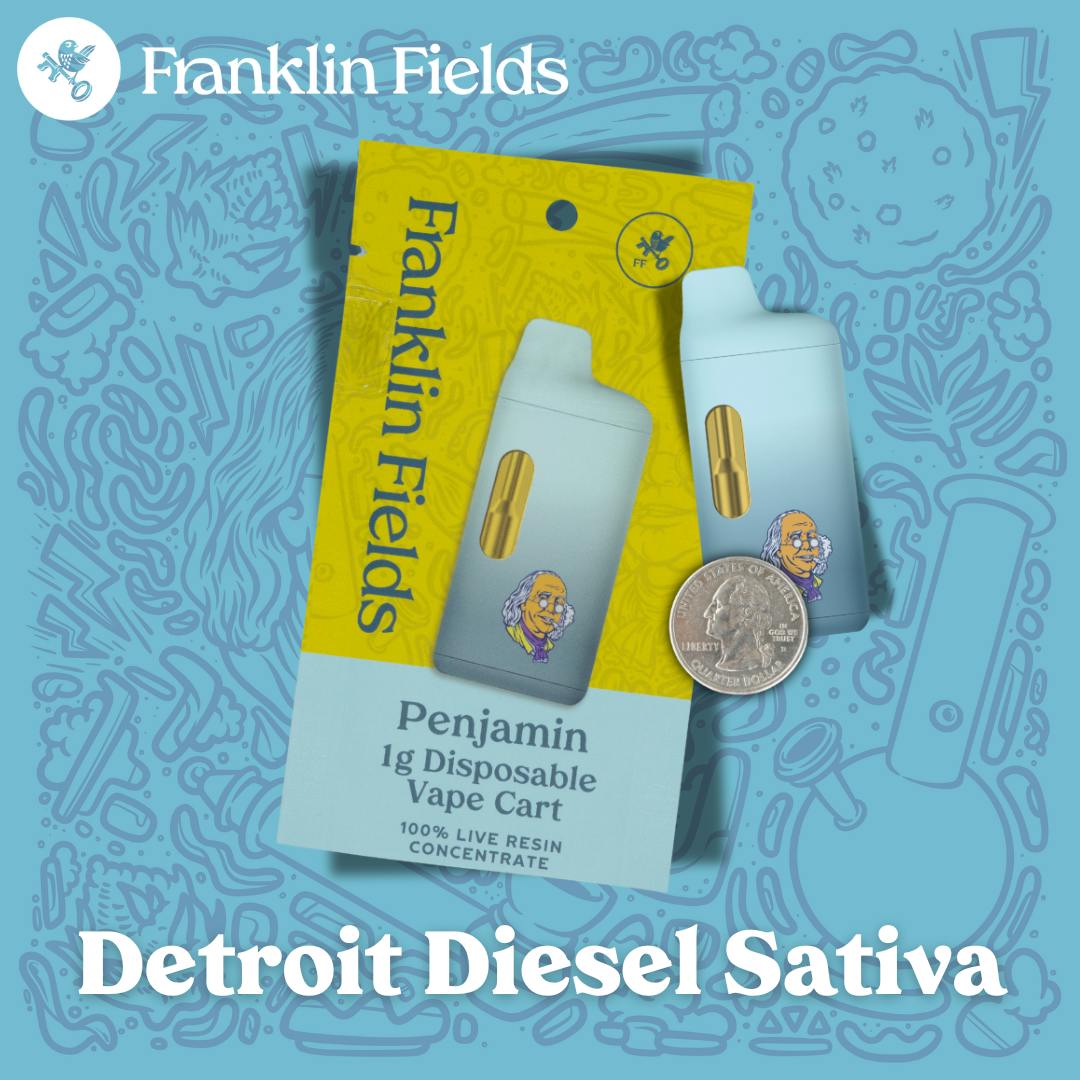 franklin fields disposable vape Ghost Train Haze Distillate Disposable - 1g | Vaporizers | Nectar | CommCan  Millis (Rec)