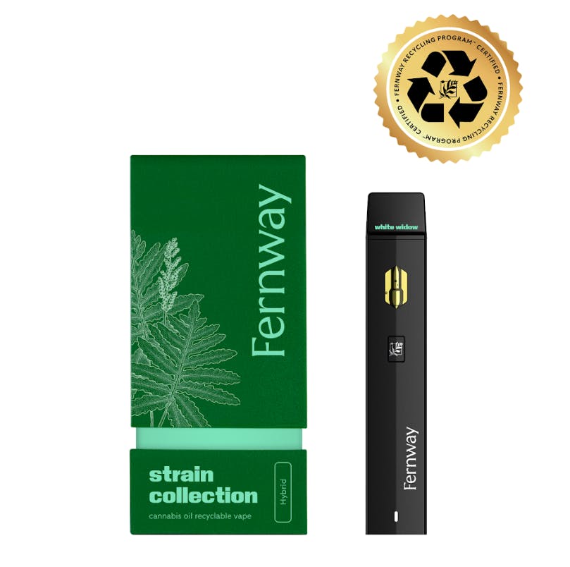 Fernway Pineapple Express | Disposable Vape | 1g - Union Chill