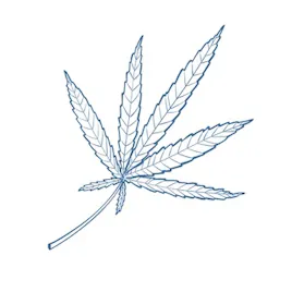 Flower category image