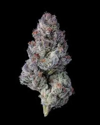Your Budtender's Favorite Disposable Brand: Cheetah - Brotherly Bud NJ