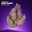 CNDY FLOAT