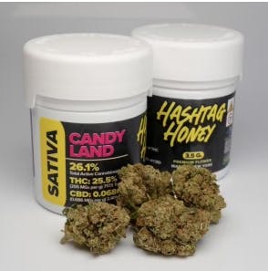Product Hashtag Honey | Candyland | 1.208% terps