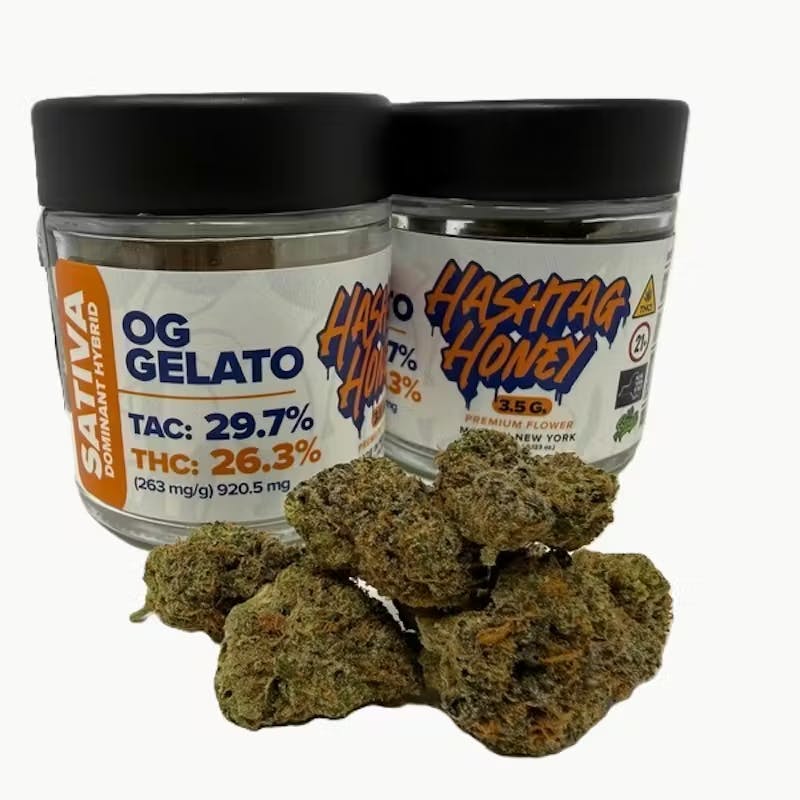 Hashtag Honey | OG Gelato | 3.5g