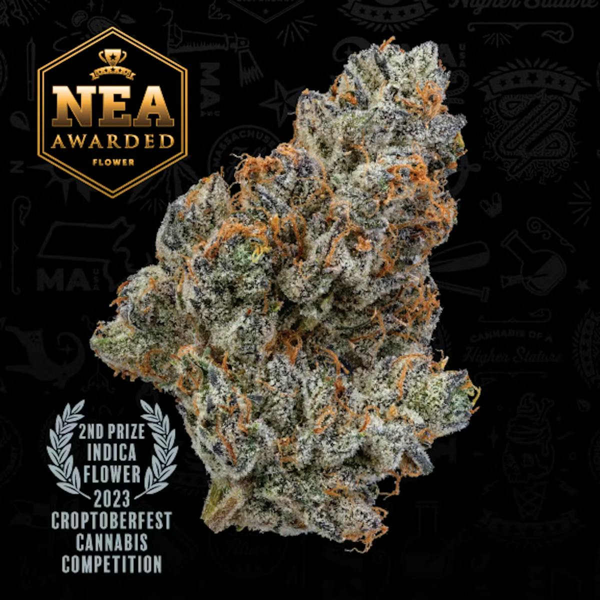 Photo of Grease Monkey PP 3.5 Northeast Alternatives