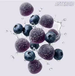 Blueberry Bliss