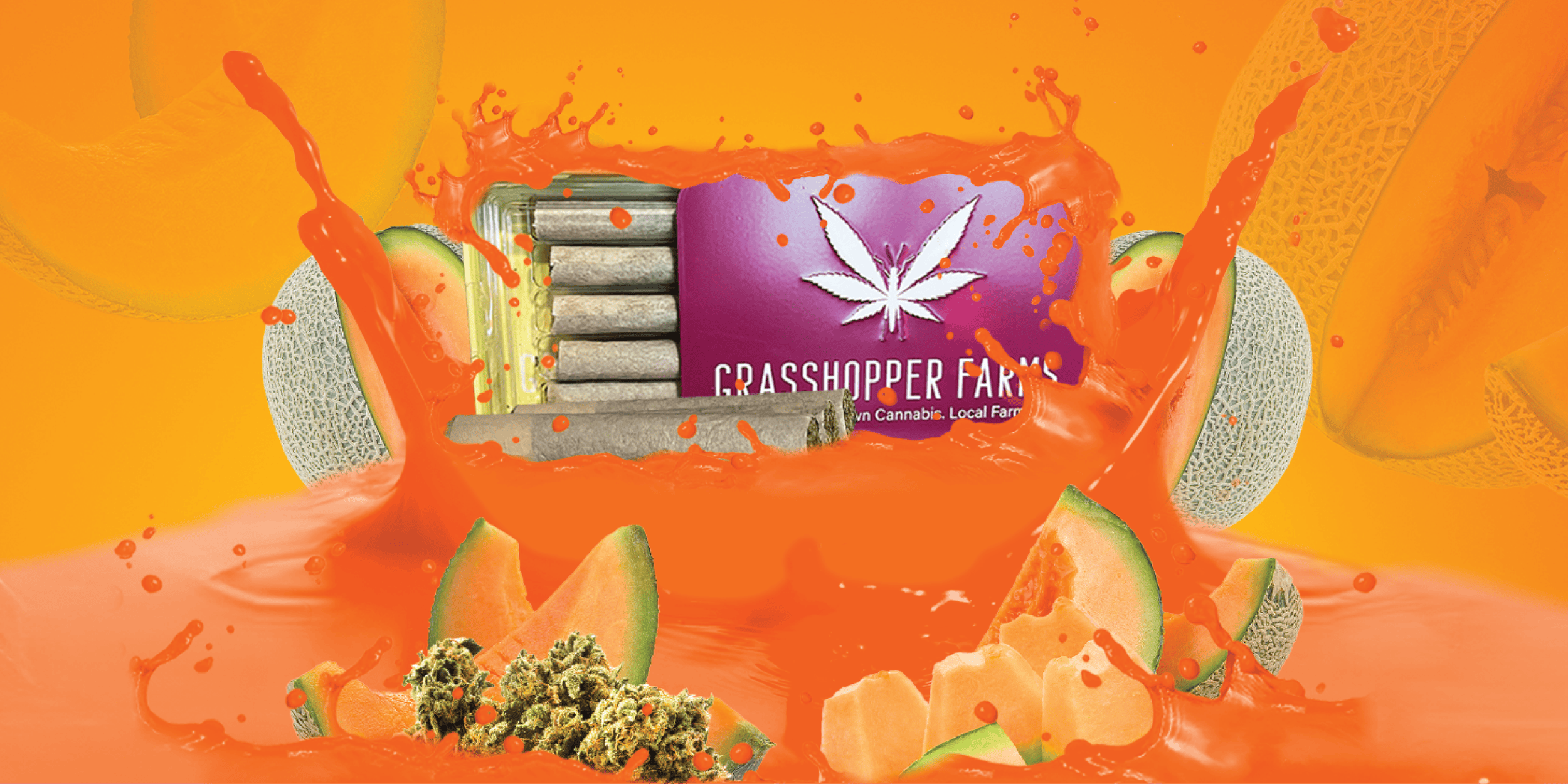 Product: Grasshopper Farms | Cannalope Crush | Infused Pre-rolls Tin | 1g x 5 | Hybrid