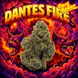 Dante's Fire Pre-Pack