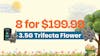 8 for $199.99 - 3.5G Trifecta Flower