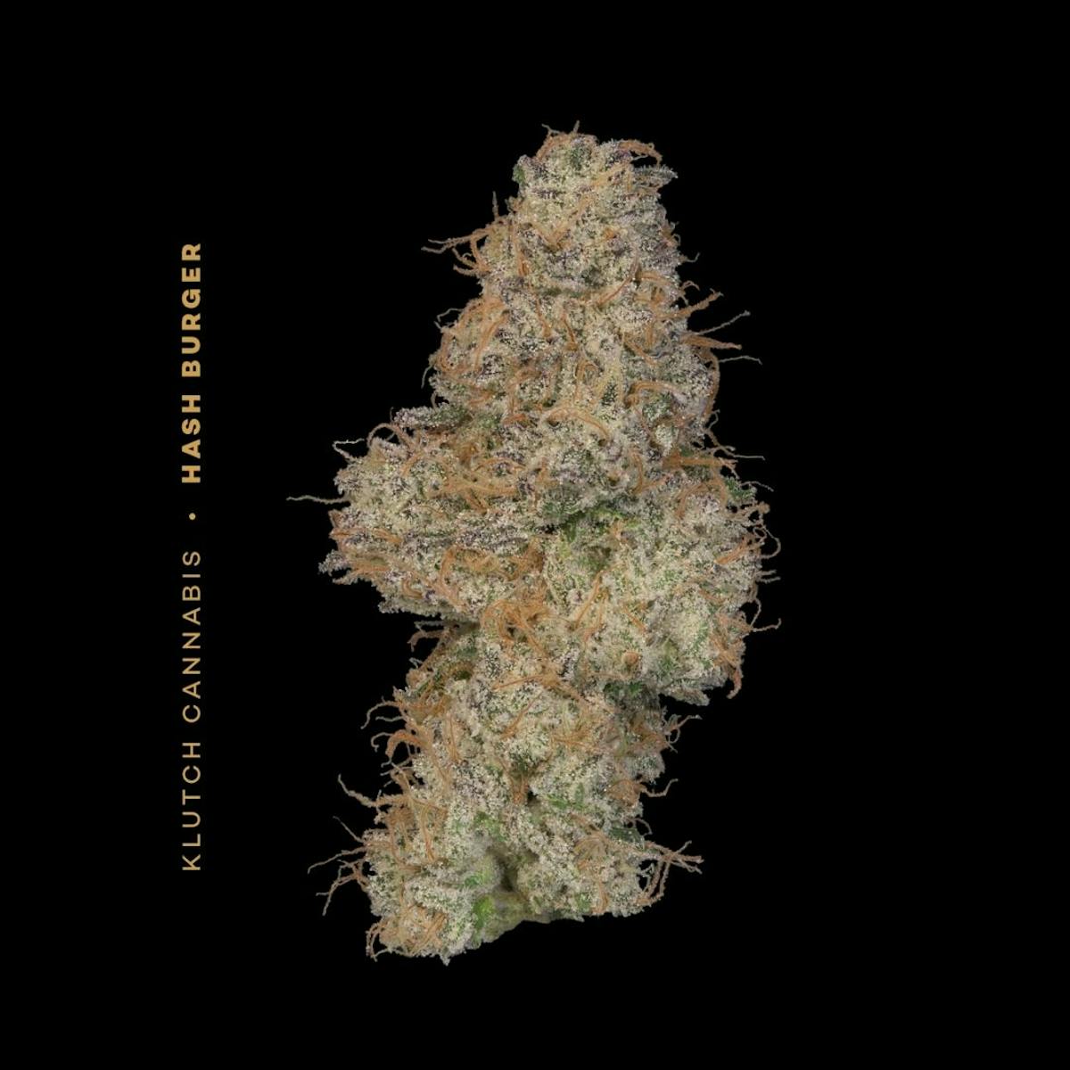 Photo of | Hash Burger |