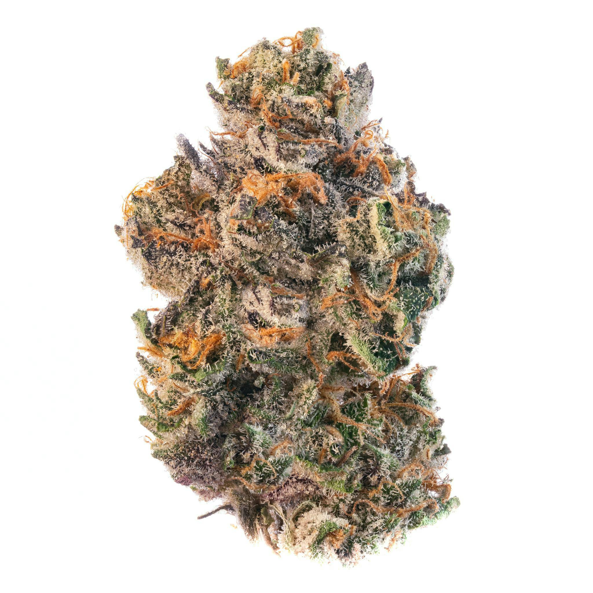 BHL ENTERPRISES GATSBY CANNABIS CO. | PERMANENT RUNTZ | PRE-PACK INDICA/HYBRID — FLOWER