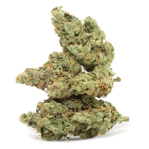 Maui Skunk Dawg – Pakalolo-1