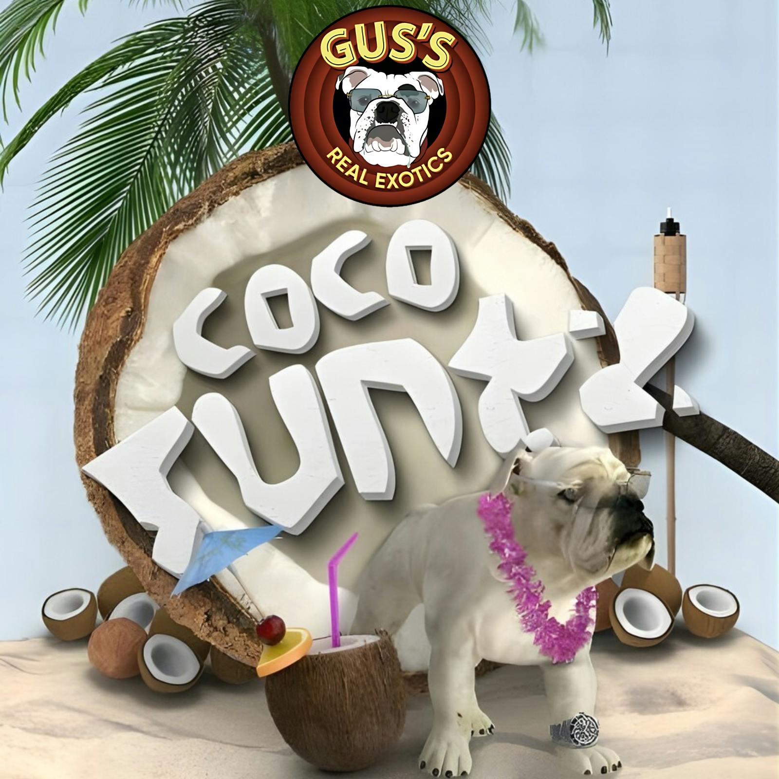 Zaza Tier Deli - Coco Runtz