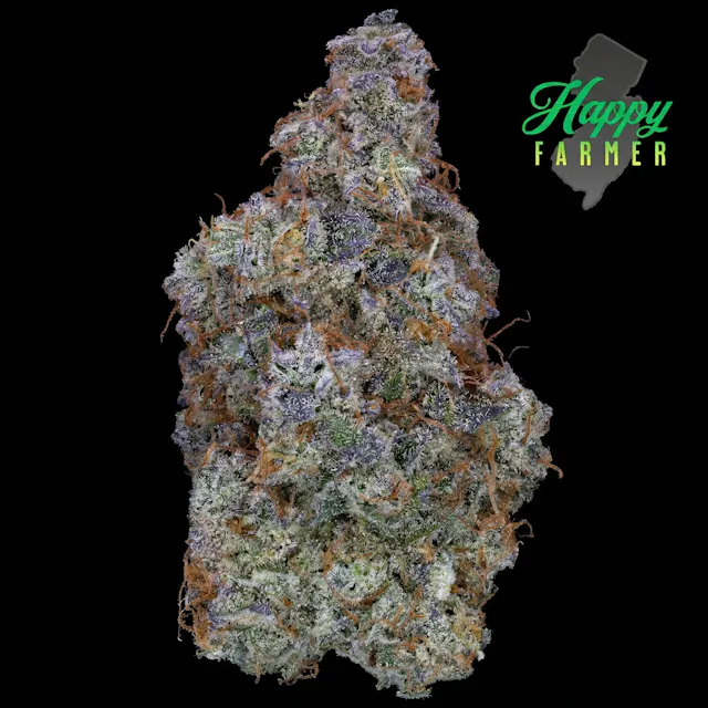 Happy Farmer Flower Cinnabonz 7g (hybrid)