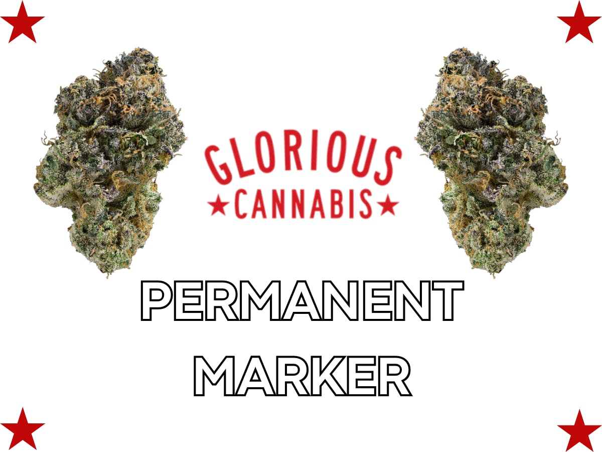 Product: GLORIOUS CANNABIS CO. | PERMANENT MARKER  | BULK | INDICA/HYBRID