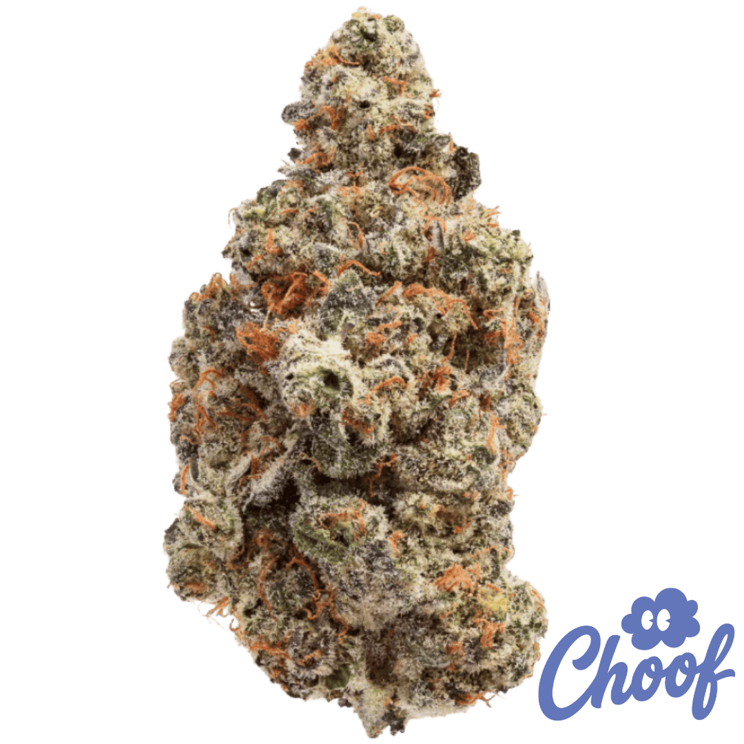 Best Dispensary in Washington DC | Capitol Hill Cannabis | Miel Wellness
