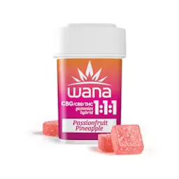 Classic Passionfruit Pineapple G4.82