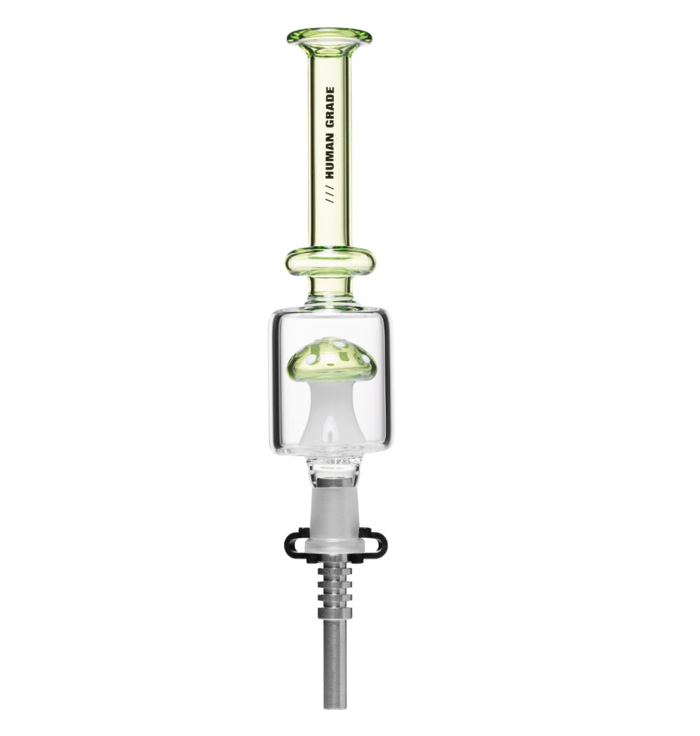 Product Image Alt