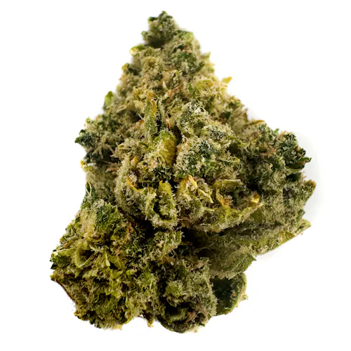 Heavyweight Heads Orangutan Prepack Rec-1