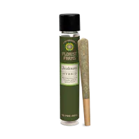 Jealousy | 1 Gram Pre-Roll | Single