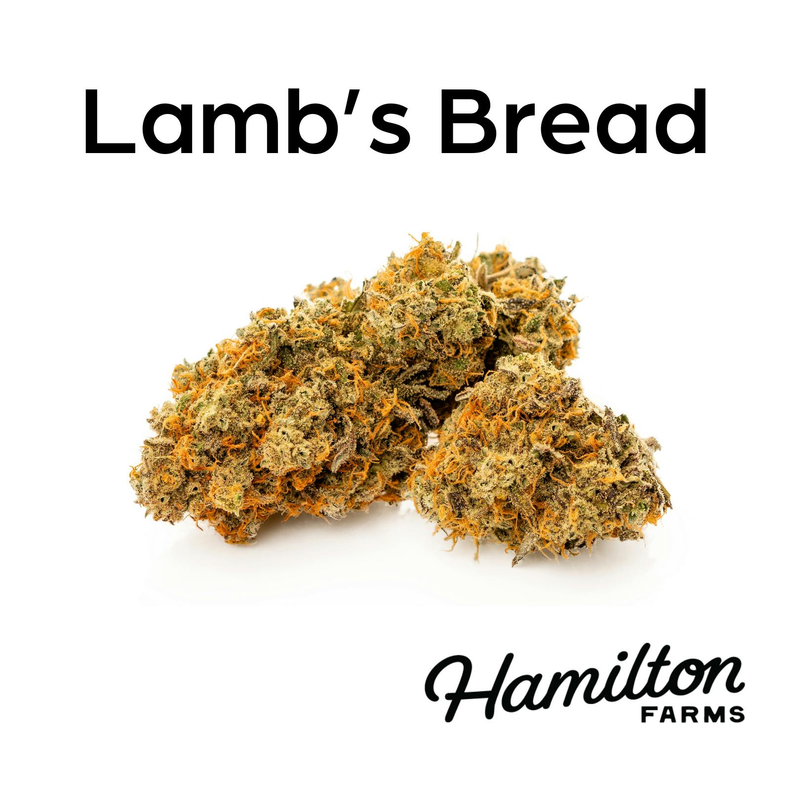 Photo of Lamb’s Bread