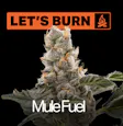 Mule Fuel High THC