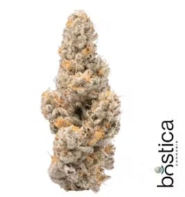 Product Purple Milk | Flower