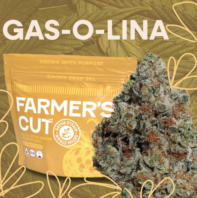 Product: Gas-O-Lina [3.5g]