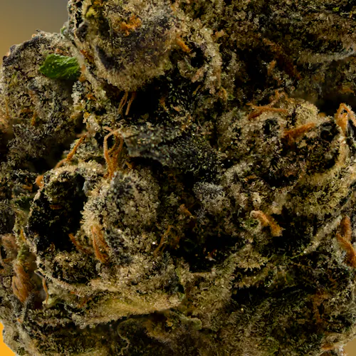 Deli Style | Dozicot – Hybrid-3