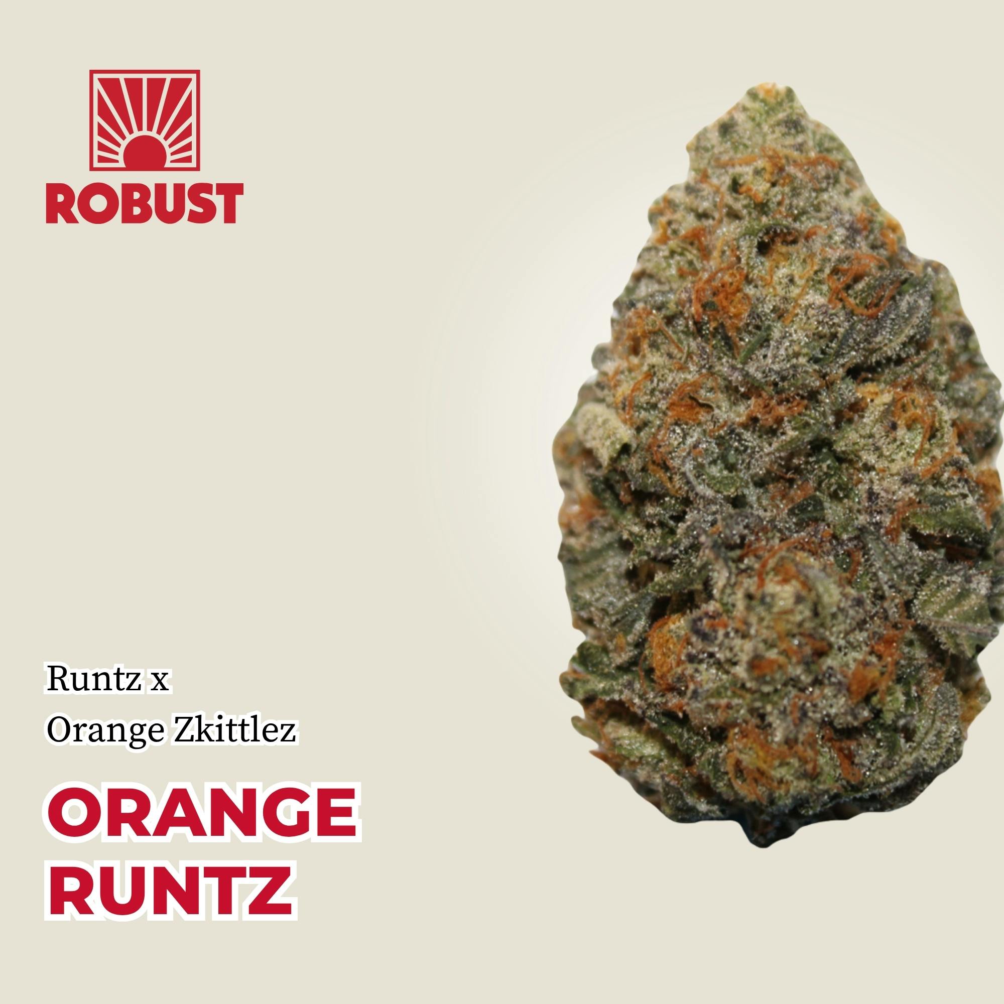 3.5g | Robust Orange Runtz | MO Health and Wellness - Kirksville