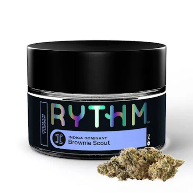 Brownie Scout (I) - 3.5g - Rythm - Image 2