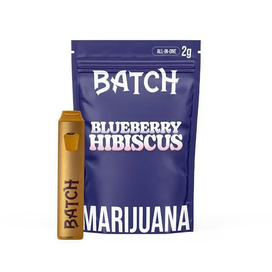 Batch | Flavors Disposable Vape - 2g - Blueberry Hibiscus