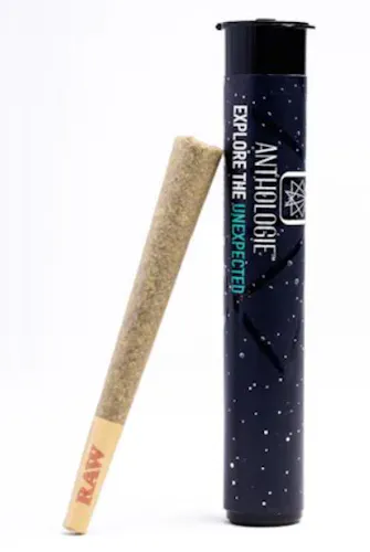 Lemondary Single Pre-Roll-active