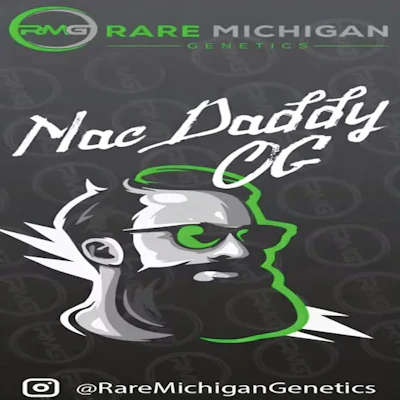 DELI - Rare Michigan Genetics - Mac Daddy OG - FLOWER by Rare Michigan Genetics at King of Budz