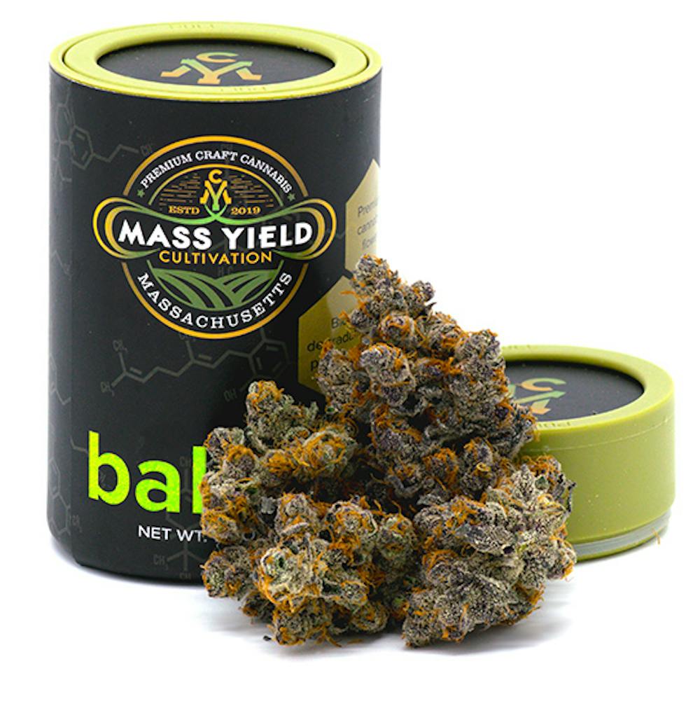 Product Blueberry Cupcake (H) | Flower | 1g