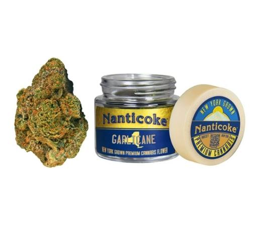 Nanticoke Garlicane