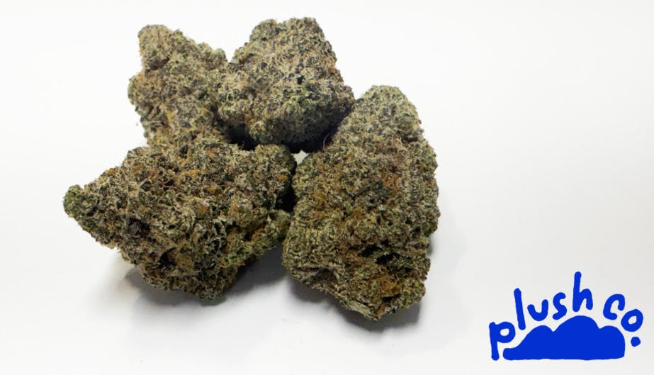 Lemon Cherry Pie | PlushCo.