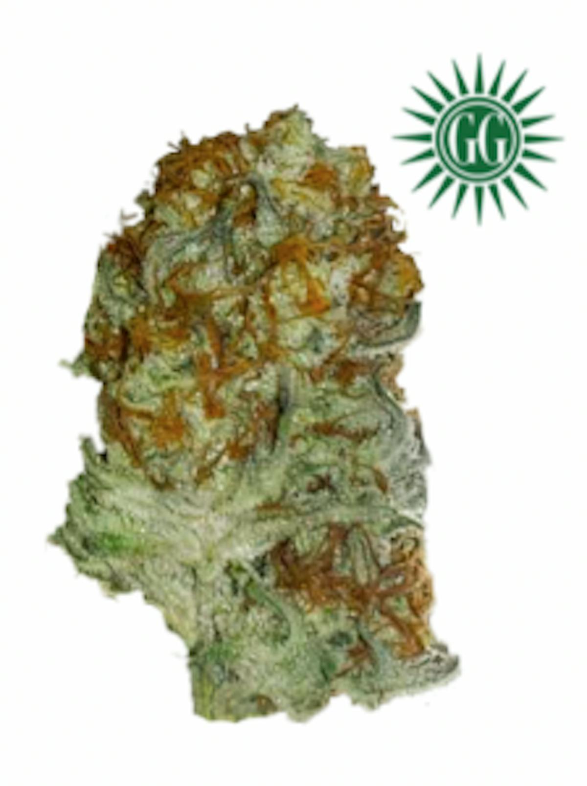 Image of Modified Punch | 3.5g Flower