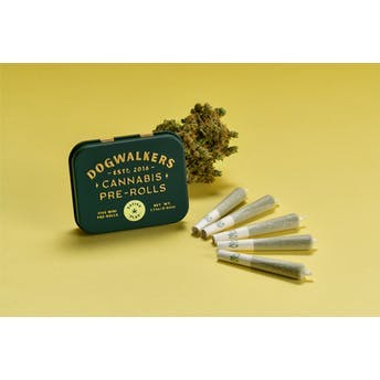 image of Gelonade Mini Dogs 12-pack | 4.2g