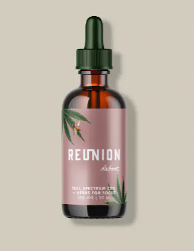 Reunion | Reboot: CBD + Lions Mane adaptogenic tincture | 15 ml-1